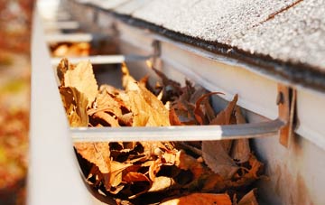South Hornchurch gutter cleaning companies